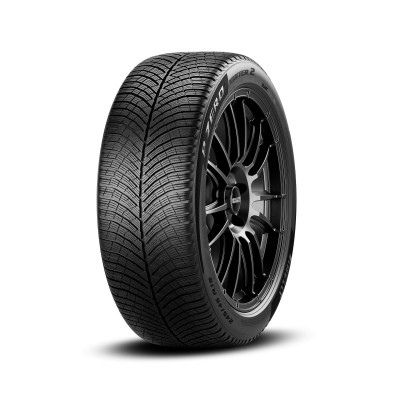 Pirelli Pirelli P ZERO WINTER 2 245/45 R19 102V