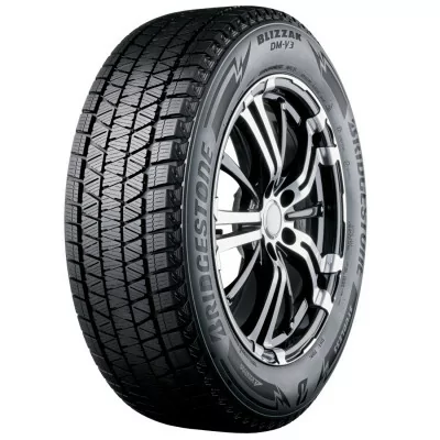 Zimné pneumatiky Bridgestone DM-V3 265/45 R20 108T