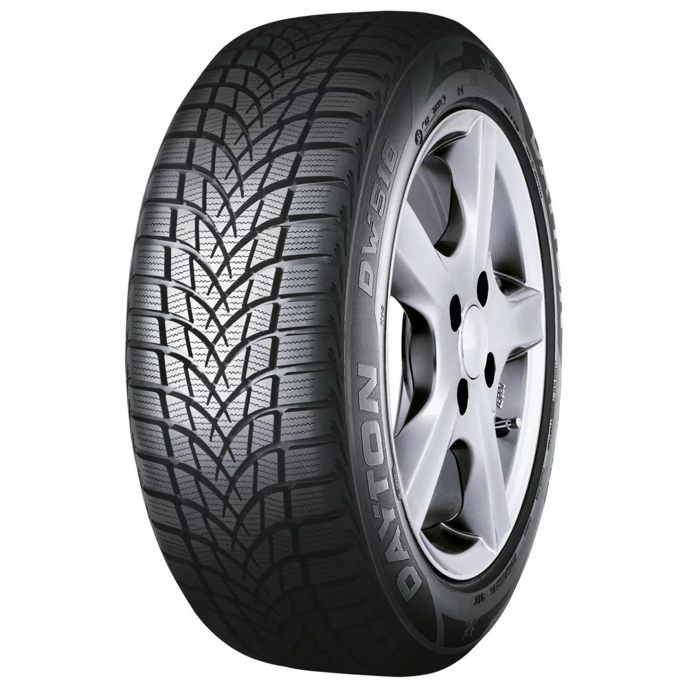 Zimné pneumatiky Dayton DW510E 205/55 R16 91H